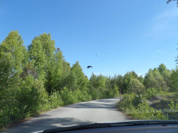 Fordon